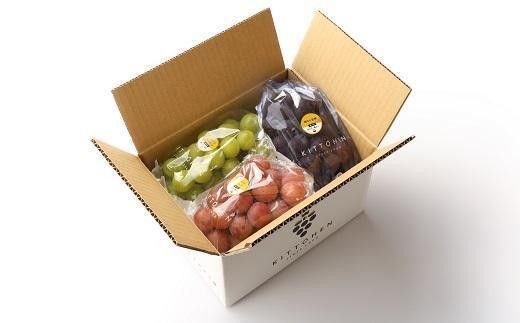 【2026年発送】シャインマスカット＋お任せぶどう 約1.5kg（2～3房） 232238_SS006