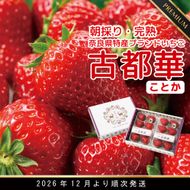 【12月27日決済完了分まで年内発送】先行予約 朝採り 完熟 12月より順次発送奈良県特産 朝採り高級ブランドいちご「古都華」 // いちご イチゴ 古都華 フルーツ 果物 旬 限定  ブランド 朝採り 完熟 いちご ことか イチゴ 先行予約 古都華 数量限定 古都華 甘い 先行受付 予約 贈答用 ギフト 化粧箱