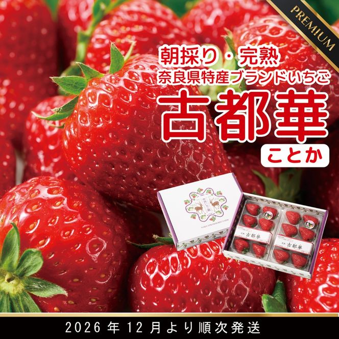【12月27日決済完了分まで年内発送】先行予約 朝採り 完熟 12月より順次発送奈良県特産 朝採り高級ブランドいちご「古都華」 // いちご イチゴ 古都華 フルーツ 果物 旬 限定  ブランド 朝採り 完熟 いちご ことか イチゴ 先行予約 古都華 数量限定 古都華 甘い 先行受付 予約 贈答用 ギフト 化粧箱