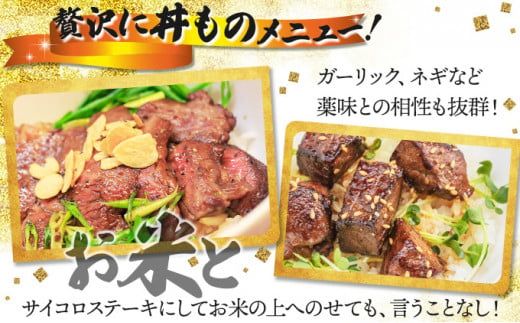 180g×5枚 佐賀牛｢フィレステーキ｣ N-100