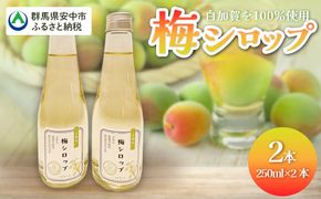 梅シロップ  ANBN001