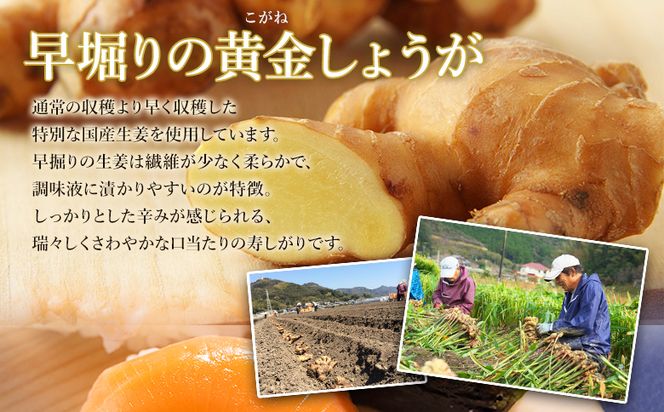 ガリ 1kg 【7日程度で発送】国産黄金生姜使用 寿司 生姜 ジンジャー ガリ がり 寿司がり 寿しがり お寿司 付け合せ 漬物 漬け物 国産 特産品 黄金しょうが しょうが ショウガ 高知県産 坂田信夫商店 高知県 香南市 常温 Xnb-0011