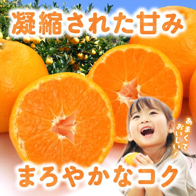 《2026年11月中旬～2027年1月中旬頃に順次発送予定》【2026年先行予約】ご家庭用有田みかん箱込み約3kg_AN6117