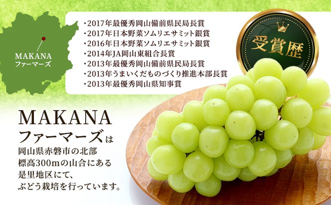 ぶどう 2026年 先行予約 シャイン マスカット 1房 700g～800g 大粒 種無し ブドウ 葡萄 岡山県産 国産 フルーツ 果物 ギフト MAKANAファーマーズ 果物類 シャインマスカット