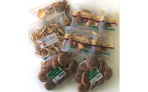 生椎茸 ・ 乾燥椎茸 詰め合わせ セット 野菜 きのこ 椎茸 しいたけ 乾物 干し椎茸 干ししいたけ 野菜セット 