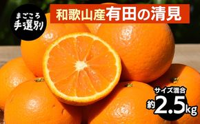 【まごころ手選別】和歌山産　有田の清見　約2.5kg(サイズ混合)