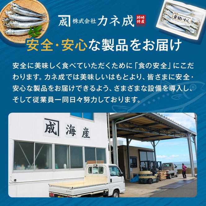 いわし 丸干し 48尾 ( 8尾 × 6 パック ) 干物 冷凍 小分け 愛知県 南知多町 ご飯 ごはん おかず おつまみ 魚 さかな 鰯 金鯱 イワシ 栄養 料理 カネ成 国産 人気 おすすめ