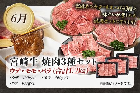 ＜太陽のタマゴを肉ではさんだ超贅沢な3か月定期便＞2025年4月から第一回目を順次出荷【b0674_co】