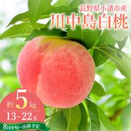 【2026年8月中旬～発送予定】桃 先行予約 浅間水蜜桃 川中島白桃 約5kg 秀品 13～22玉 贈答品 フルーツ 果物 白桃 甘い 冷蔵