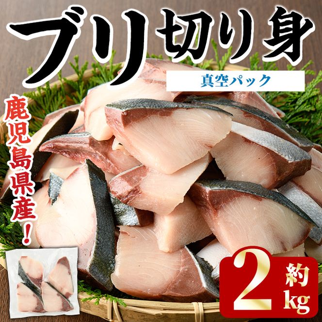 ブリの切り身(真空パック・約2kg) 国産 鹿児島県産 ブリ 鰤 魚貝 魚介 海産物 焼き魚 煮つけ ブリカツ 真空 【株式会社島水】akn102-04
