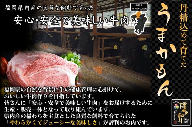 【B1-024】博多和牛 肩ロース焼肉用