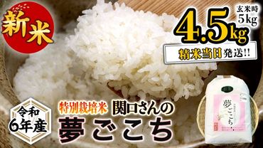 《 特別栽培米 》 令和6年産 精米日出荷 関口さんの「 夢ごこち 」 4.5kg ( 玄米時 5kg ) 新鮮 精米 米 こめ コメ 特別栽培農産物 認定米 新米 [AM083us]