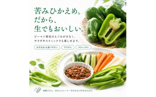 ピーマン 3kg P.SUKE（ピースケ）野菜 新鮮 みずみずしい 肉厚 料理 サラダ スティック野菜 野菜炒め 肉詰め 青椒肉絲 高知県 芸西村
