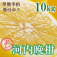 【訳あり】フルーツアイランド・マルエム青果の河内晩柑 10kg (なくなり次第終了)