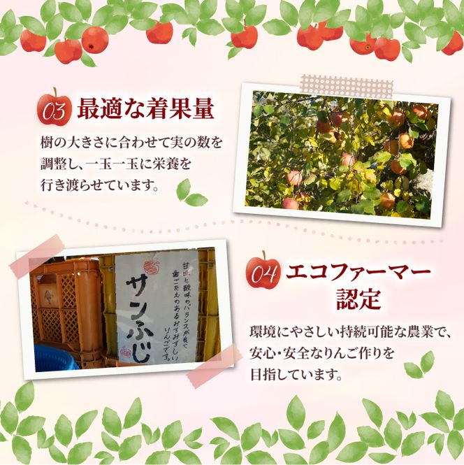 【先行予約】仲野りんご園の奥久慈りんご（各種詰め合わせ）約3kg（9～12玉）｜茨城県 大子町 エコファーマー 樹上完熟 林檎 アップル 紅玉 秋映 陽光 シナノスイート 食べ比べ 果物 フルーツ 旬 秋 味覚 ギフト 贈答（DF002）