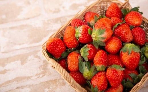 はこだて恋いちご　いちごシフォンケーキ_HD100-007