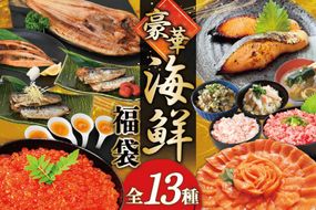 豪華 海鮮福袋 全13種 [カネダイ 宮城県 気仙沼市 20565837] 海鮮 魚介類 福袋 いくら ホタテ カニ かに ズワイガニ フカヒレ サーモン 魚介 魚 詰め合わせ 冷凍