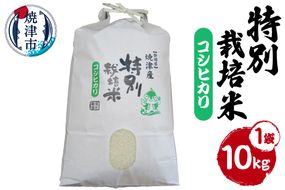 a31-016　新米　令和8年産　特別栽培米　こしひかり　10Kg　農家のお米