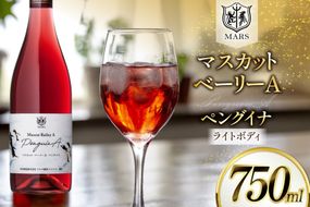 ワイン 赤 マスカット・ベーリーA ペングイナ 1本 [本坊酒造 マルス穂坂ワイナリー 山梨県 韮崎市 20745560] ふるさと納税 酒 お酒 シャトーマルス 赤ワイン 果実酒 ライトボディ 国産