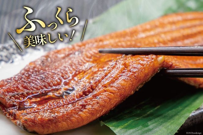 うなぎ 国産 静岡 定期便 蒲焼 2尾 & 白焼 2尾 6回 総計24尾 食べ比べセット [大井川うなぎ 静岡県 吉田町 22424562] 静岡県産 鰻 ウナギ ungai 蒲焼き うなぎ蒲焼き 鰻蒲焼 白焼き タレ たれ 山椒 真空パック 冷凍