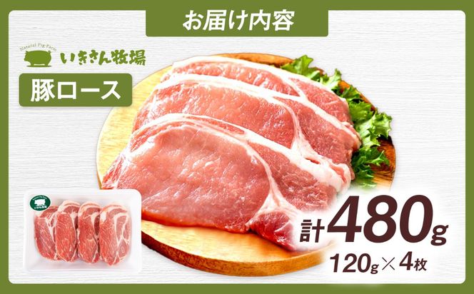 一貴山豚 ロースとんかつ・トンテキ用 計480g(120g×4枚) 糸島市 / いきさん牧場 豚肉 冷凍[AGB030] 豚肉 豚 ブランド豚 一貴山豚 ポーク ロース 生姜炒め ポークジンジャー