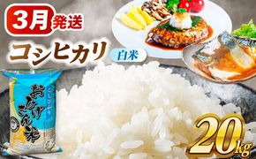 ＼3月発送分／ コシヒカリ 白米 20kg / 脇野コンバイン[AECP023-7]