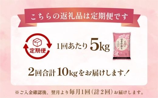 【 1ヶ月毎2回定期便 】 はるかおり 5kg 計10kg ／ 米 コメ お米 ライス ご飯 ごはん 飯 食品 精米 定期便 常温 福岡県 香春町