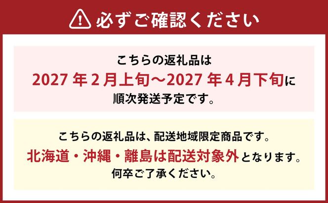 博多あまおう（春） 約250g～270g×6パック 計約1.5kg～1.62kg【2027年2月上旬-4月下旬発送予定】いちご 苺 イチゴ 果物 フルーツ
