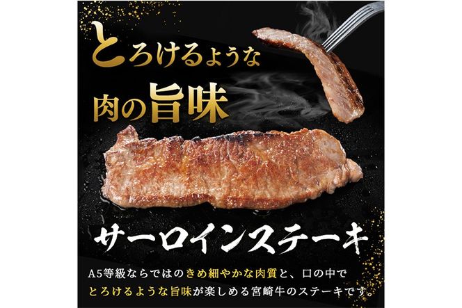 新鮮チルド便 宮崎牛 A5 特選 サーロイン ステーキ(計400g・200g×2P) 和牛 BBQ アウトドア キャンプ 小分け パック 冷蔵 真空パック ブランド牛 ランク パーティー ご褒美 おかず【OT-05】【KNOT合同会社】