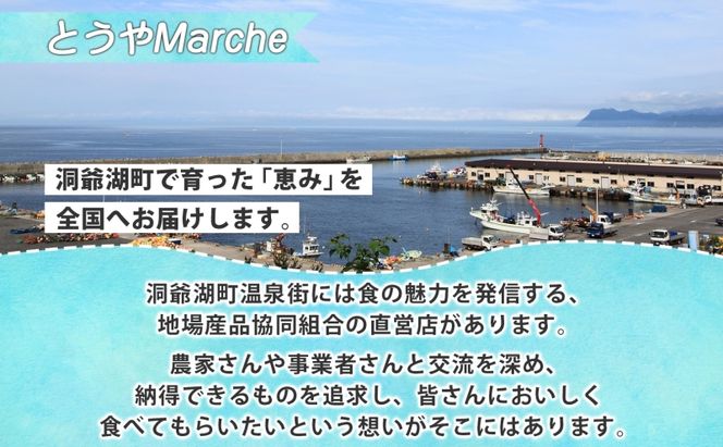 北海道産 活ほたて 2年貝 約4kg 30枚～45枚 2027年1月中旬以降水揚げ次第出荷 ほたて 帆立 ホタテ 生 貝 魚貝 魚介 海産 海鮮 貝柱 噴火湾 刺身 送料無料 北海道 洞爺湖町