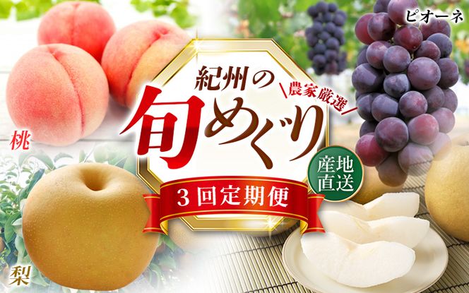 ya̎RI쒬zyS3zIBa̎RY{̃t[c (EEsI[l) / t[c k a̎R    Ȃ Ԃǂ  VC}XJbg sI[l  ytkb424z