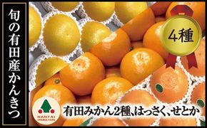 定期便 旬の有田産かんきつ味わい セット 全4回 お届け 南泰園 みかん BS801