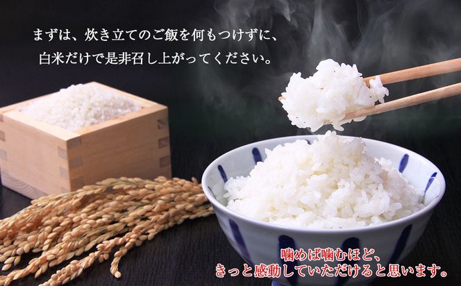 【6ヶ月定期便】減農薬栽培 ひとめぼれ 玄米 10kg（5kgx2袋） 【1112】