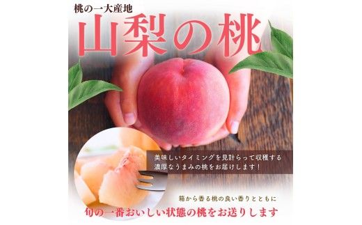 【2027年出荷分 先行予約】朝もぎ直送!『山梨県産　桃』約13～18玉 約5kg規格箱入り 選び抜かれた山梨の桃《もも 先行予約》山梨県産　モモ/ フルーツ 果物 くだもの 人気 産地直送/厳選  贈答 贈り物【tab0221-05】