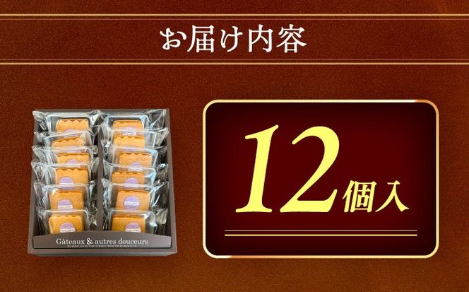レーズンバターサンド 詰め合わせ 12個 レーズンサンド バターサンド 焼き菓子 愛西市 / 有限会社モンシェリー 【配送不可：離島】[AEBB009]