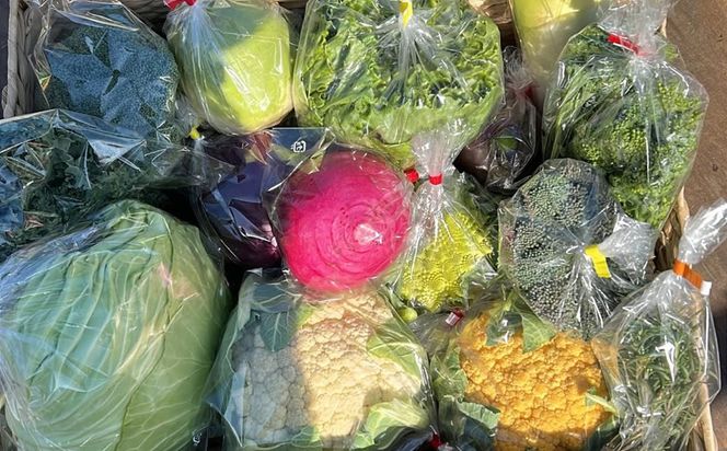 159-2024-02　【冷蔵便】季節のこだわり野菜セット 野菜詰め合わせ（春野菜 夏野菜 ハーブ など）