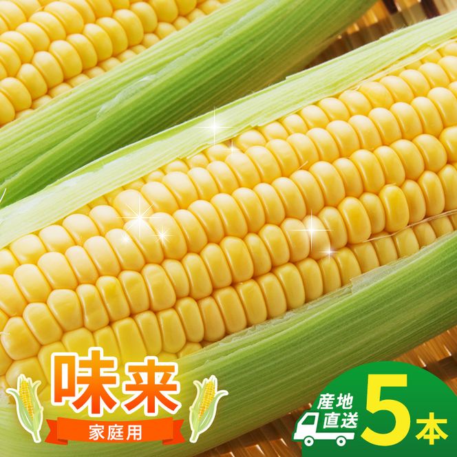 とうもろこし 味来 家庭用 5本 訳アリ トウモロコシ 宮城県産 甘い 夏 朝採れ 訳あり 産地直送 宮城県 大河原町