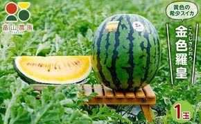 先行予約 富良野産 大玉 スイカ 金色羅皇  2L 7kg 以上×1玉 令和7年産 2026年産 北海道 富良野 ふらの 大玉 すいか 西瓜 果物 くだもの こんじきらおう 黄色 ゴールド 甘い
