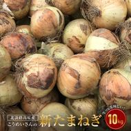 【新玉ねぎ】こうめいさんの玉ねぎ10kg【発送時期：2026年4月下旬～6月上旬頃】
