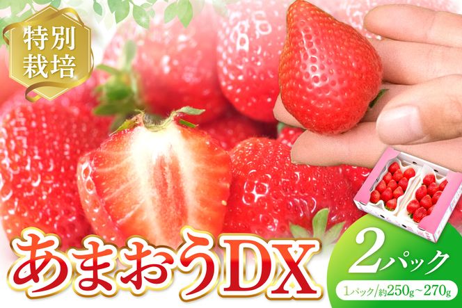【先行予約受付中】【2026年12月以降順次発送】特別栽培あまおうDX2パック【うるう農園】_AS1965-00