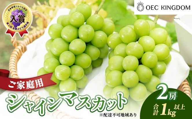 ぶどう 2026年 先行予約 ［ご家庭用］ シャイン マスカット 2房（合計1kg以上）  ブドウ 葡萄  岡山県産 国産 フルーツ 果物 OEC KINGDOM ぶどう家 果物類 