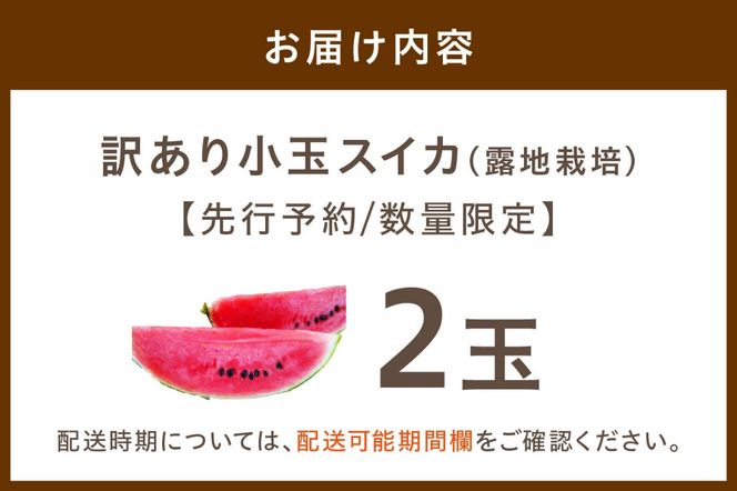 【先行予約／数量限定100】にしまるスイカ 訳あり 2玉入り（露地栽培）（2025年7月中旬から発送）　FR00015