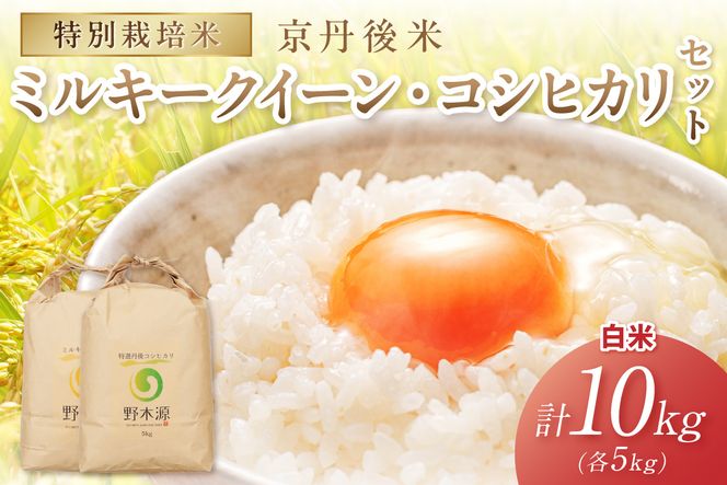 2026年産 京丹後米 特別栽培米ミルキークイーン＆丹後コシヒカリ 各5kg（白米） 農家直送 米 こめ ふるさと 納税 米 精米 新米 京都産　NO00038