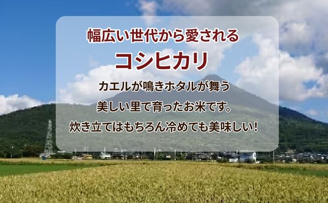 【定期便 5ヶ月】令和7年産　土浦市産コシヒカリ　精米10kg　ホタルが舞う里のお米　※離島への配送不可 ※2025年9月中旬頃より順次発送予定