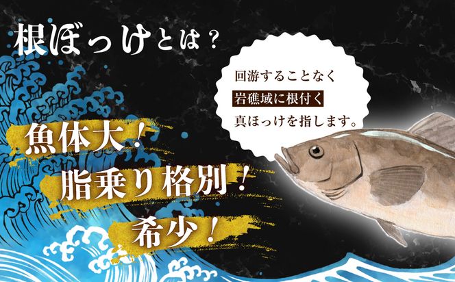 函館根ぼっけ開き焼き 根ぼっけ刺身セット 厳選 北海道産 ほっけ 開き 半身 刺身 瞬間冷凍 函館市 送料無料_HD260-001