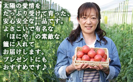 野菜ソムリエが育てた うしの恵 フルーツトマト籠入り1kg mj-0035