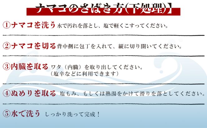 活ナマコ 1.5kg 赤ナマコ - 国産 産地直送 赤なまこ なまこ ナマコ 海鼠 海産物 海鮮 魚介類 刺身 刺し身 炒め物 塩辛 このわた えび蔵 高知県 香南市 冷蔵 eb-0030