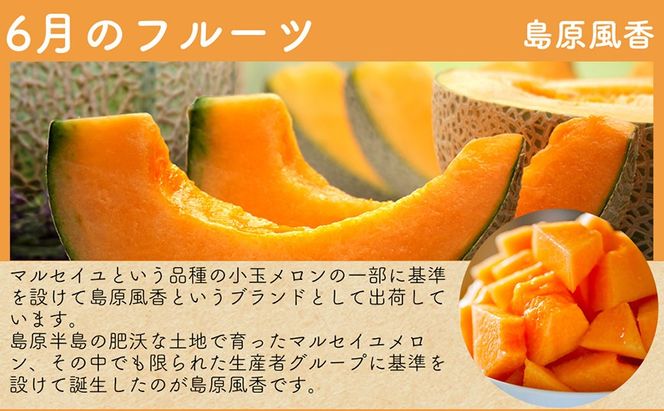 DH106 【令和9年度出荷分】【春～夏季】フルーツ定期便（全4回） ハウスびわ 小玉スイカ 小玉メロン 梨 [ 果物 フルーツ びわ すいか メロン ナシ 長崎県 島原市 ]