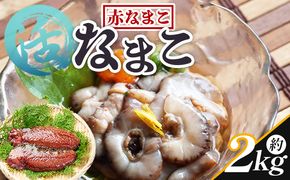 活ナマコ 2kg 赤ナマコ - 国産 産地直送 赤なまこ なまこ ナマコ 海鼠 海産物 海鮮 魚介類 刺身 刺し身 炒め物 塩辛 このわた えび蔵 高知県 香南市 冷蔵  eb-0031