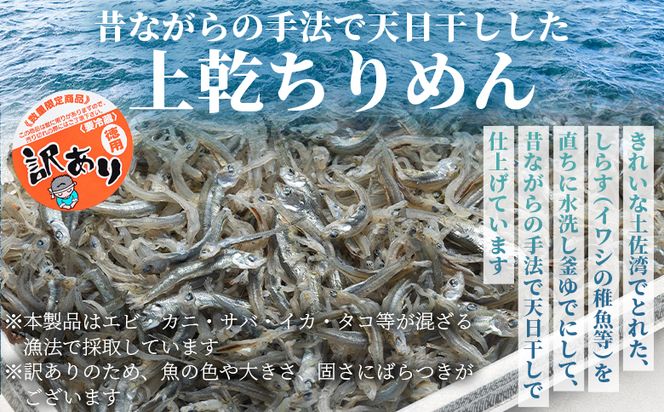 【冷蔵】訳あり 上乾ちりめん 約500g - 国産 ちりめん しらす シラス 稚魚 魚介 魚 海産物 天日干し 釜茹で ドロメ サラダ 和え物 アレンジ 料理 ご飯のお供 高知県 香南市 冷蔵 mu-0013